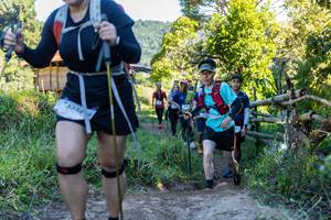 BIB: 
                            <button type="button" onclick="openModal(19314384)" class="btn btn-primary btn-sm float-right btn-popup" data-toggle="modal" data-target=".modal-high-quality">
                        <i class="fas fa-shopping-cart"></i> Add to Cart
                    </button>
                                            <button type="button" onclick="isThisMe(19314384, true)" class="btn btn-success btn-sm float-right btn-popup btn-isme hidden" data-toggle="tooltip" data-placement="bottom" title="นี่คือรูปของคุณใช่ไหม คลิกที่นี่เพื่อเอาเข้าอัลบั้ม">
                        <i class="fas fa-plus"></i> Add to album
                    </button>
                    <button type="button" onclick="isThisMe(19314384, false)" class="btn btn-warning btn-sm float-right btn-popup btn-isnotme hidden">
                        <i class="fas fa-ban"></i> Remove from album
                    </button>